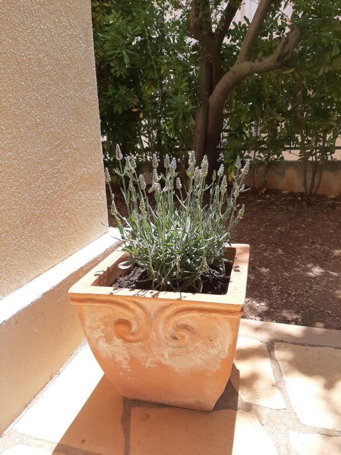 Kuca Za Odmor Lavanda Poljica  ภายนอก รูปภาพ